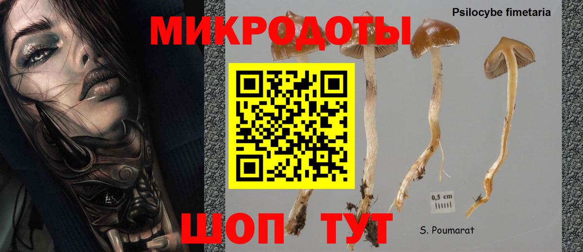 Аксай  Псилоцибиновые грибы ЛСД  Вход с VPN 